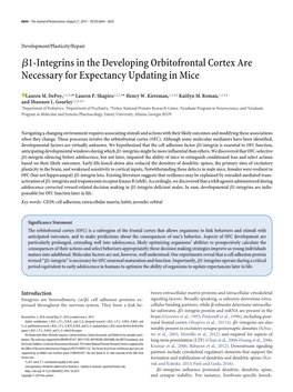 Β1-Integrins in the Developing Orbitofrontal Cortex Are Necessary