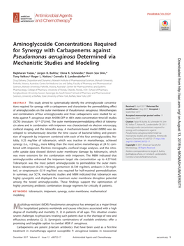 Aminoglycoside Concentrations Required for Synergy with Carbapenems Against