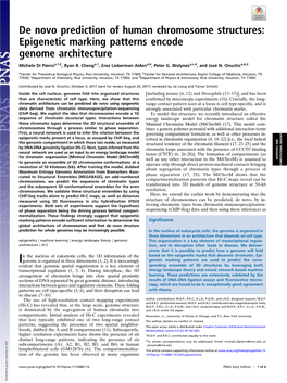 Epigenetic Marking Patterns Encode Genome Architecture