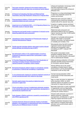 June 04, 2021 Fast Super-Resolution Ultrasound Microvessel Imaging