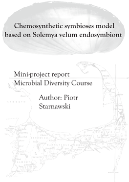 Chemosynthetic Symbioses Model Based on Solemya Velum Endosymbiont