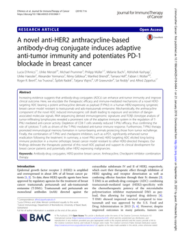 A Novel Anti-HER2 Anthracycline-Based Antibody-Drug