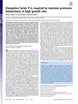 Elongation Factor P Is Required to Maintain Proteome Homeostasis at High Growth Rate