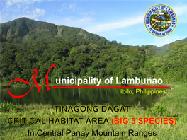 Unicipality of Lambunao Iloilo, Philippines