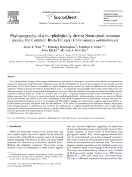 Phylogeography of a Morphologically Diverse Neotropical Montane Species, the Common Bush-Tanager (Chlorospingus Ophthalmicus)