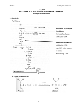 CHO Metabolism