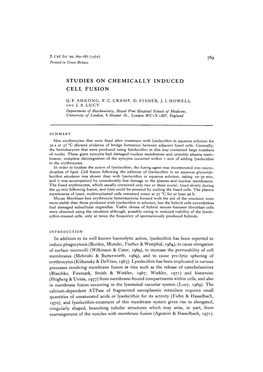 Studies on Chemically Induced Cell Fusion