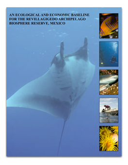 An Ecological and Economic Baseline for the Revillagigedo Archipelago Biosphere Reserve, Mexico