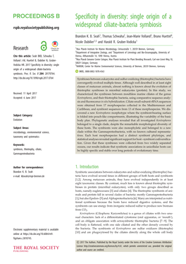 Single Origin of a Widespread Ciliate-Bacteria Symbiosis