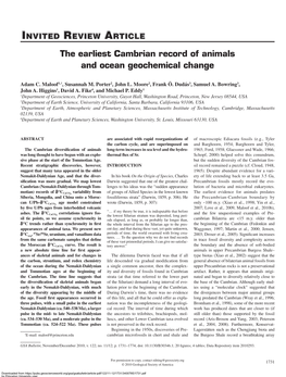 The Earliest Cambrian Record of Animals and Ocean Geochemical Change