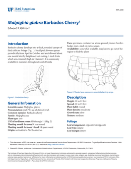 Malpighia Glabra Barbados Cherry1 Edward F