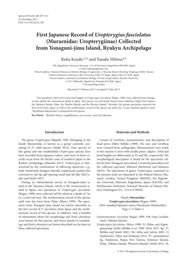 First Japanese Record of Uropterygius Fasciolatus (Muraenidae: Uropterygiinae) Collected from Yonaguni-Jima Island, Ryukyu Archipelago