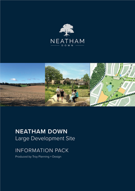 NEATHAM DOWN Large Development Site