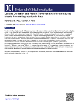 Leucine Oxidation and Protein Turnover in Clofibrate-Induced Muscle Protein Degradation in Rats