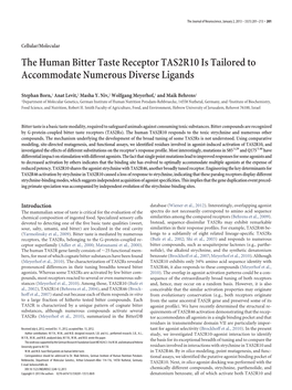 The Human Bitter Taste Receptor TAS2R10 Is Tailored to Accommodate Numerous Diverse Ligands