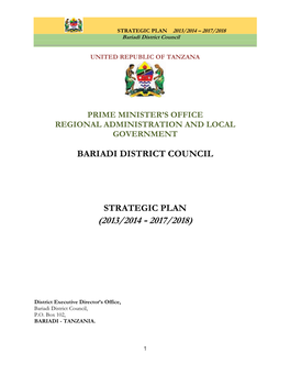 Bariadi District Council Strategic Planning Process and Activities