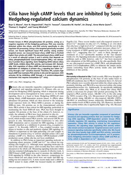 Cilia Have High Camp Levels That Are Inhibited by Sonic Hedgehog-Regulated Calcium Dynamics