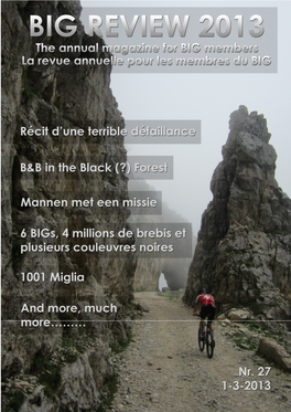 Bigreview2013.Pdf