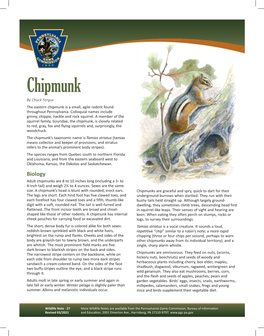 Eastern Chipmunk Is a Small, Agile Rodent Found Throughout Pennsylvania