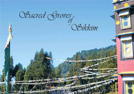Sacred Groves of Sikkim