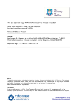 Multimodal Interactions in Insect Navigation