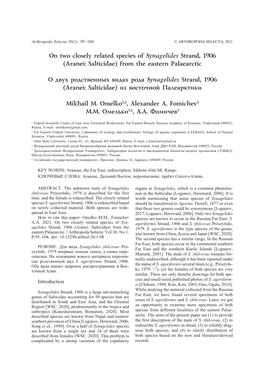 On Two Closely Related Species of Synagelides Strand, 1906 (Aranei: Salticidae) from the Eastern Palaearctic