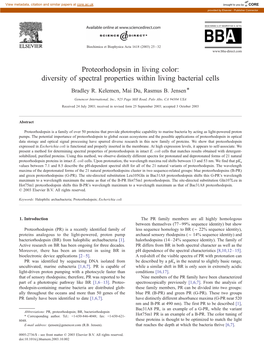 Proteorhodopsin in Living Color: Diversity of Spectral Properties Within Living Bacterial Cells