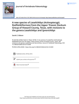 From the Upper Triassic Dockum Group of Howard County, Texas, with Revisions to the Genera Lasalichthys and Synorichthys