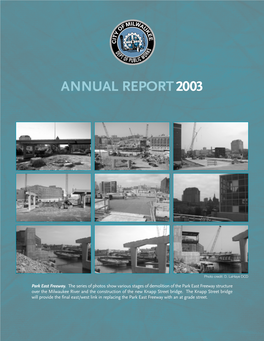 Annual Report2003