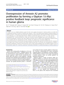 Overexpression of Annexin A2 Promotes Proliferation by Forming A