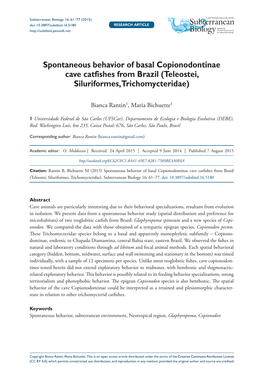 Spontaneous Behavior of Basal Copionodontinae Cave Catfishes from Brazil (Teleostei, Siluriformes, Trichomycteridae)