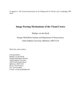Image Parsing Mechanisms of the Visual Cortex