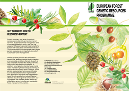 European Forest Genetic Resources Programme