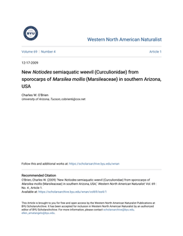 New Notiodes Semiaquatic Weevil (Curculionidae) from Sporocarps of Marsilea Mollis (Marsileaceae) in Southern Arizona, USA