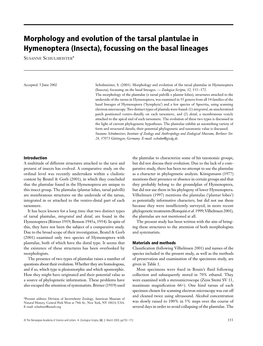 Morphology and Evolution of the Tarsal Plantulae in Hymenoptera (Insecta), Focussing on the Basal Lineages