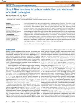 Small RNA Functions in Carbon Metabolism and Virulence of Enteric Pathogens