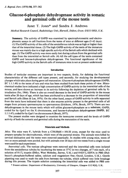 Glucose-6-Phosphate Dehydrogenase Activity in Somatic and Germinal Cells of the Mouse Testis Janet T