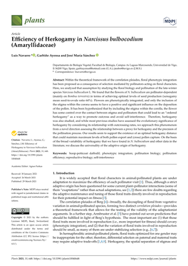 Efficiency of Herkogamy in Narcissus Bulbocodium (Amaryllidaceae)