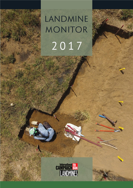 Landmine Monitor 2017