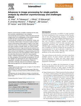 Advances in Image Processing for Single-Particle Analysis by Electron