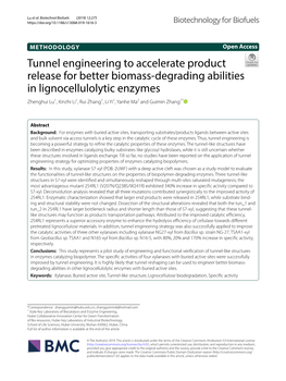 Tunnel Engineering to Accelerate Product Release for Better Biomass