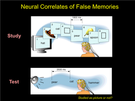 Neural Correlates of False Memories