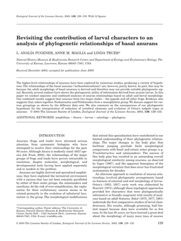 Revisiting the Contribution of Larval Characters to an Analysis of Phylogenetic Relationships of Basal Anurans