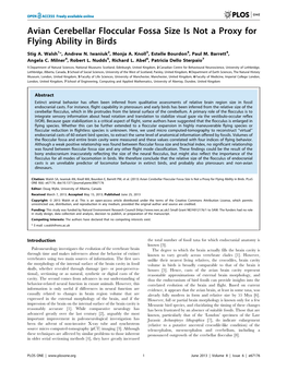 Avian Cerebellar Floccular Fossa Size Is Not a Proxy for Flying Ability in Birds