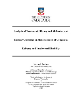 Analysis of Treatment Efficacy and Molecular and Cellular Outcomes In