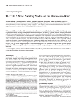 The TLC: a Novel Auditory Nucleus of the Mammalian Brain