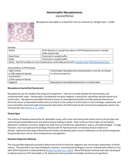 Hemotrophic Mycoplasmosis (Canine/Feline)