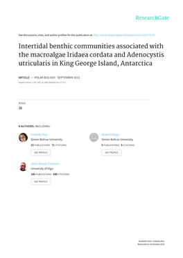 Intertidal Benthic Communities Associated with the Macroalgae Iridaea Cordata and Adenocystis Utricularis in King George Island, Antarctica