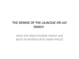 The Demise of the Liliaceae Or Lily Family