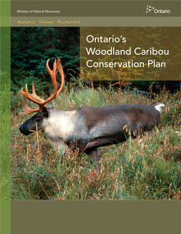 Ontario's Woodland Caribou Conservation Plan